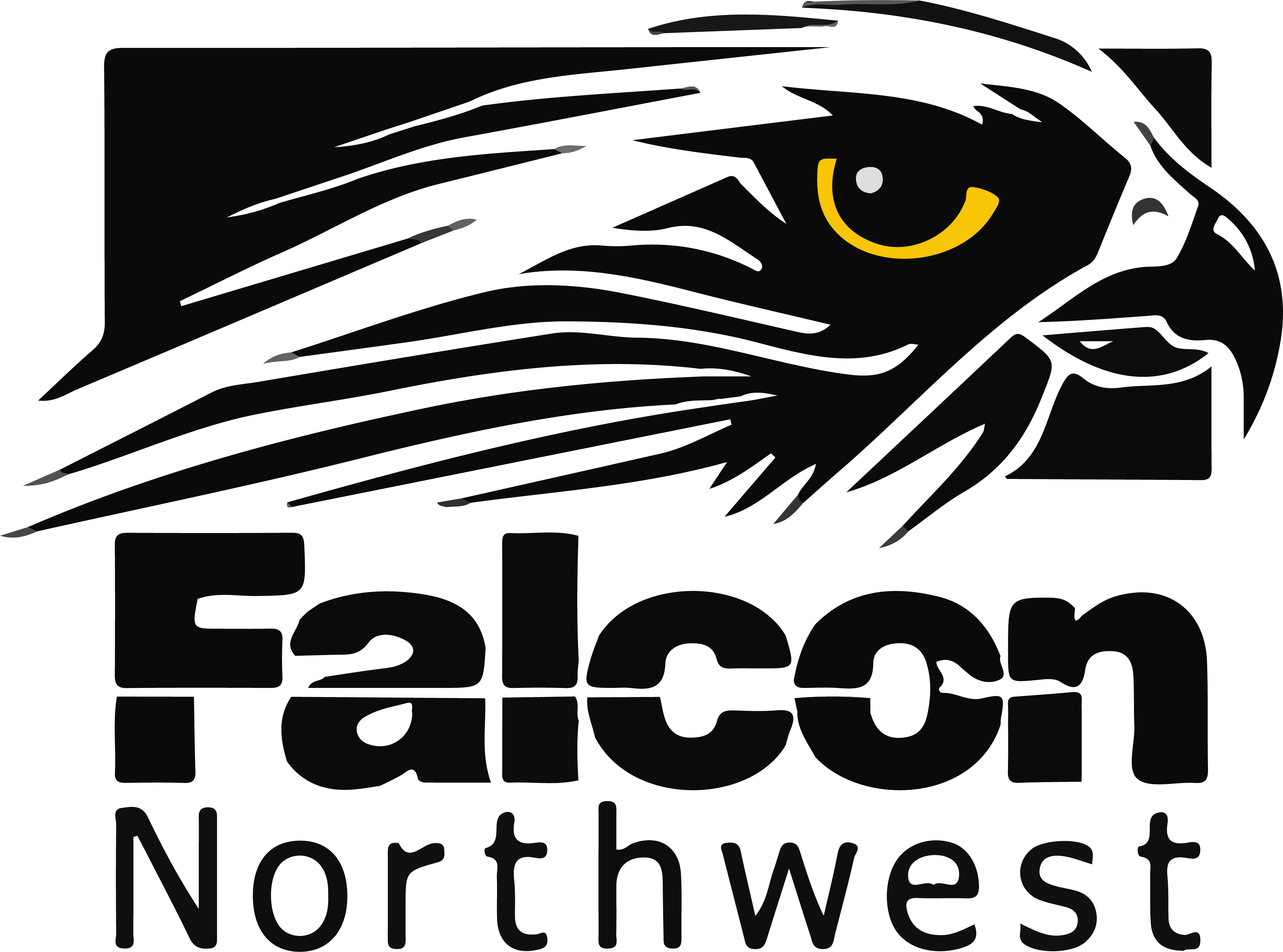 Falcon northwest Logo